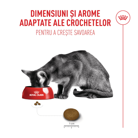 Hrană Uscată Pisică Adult, Royal Canin Fussy, Apetit Capricios, 10kg [3]