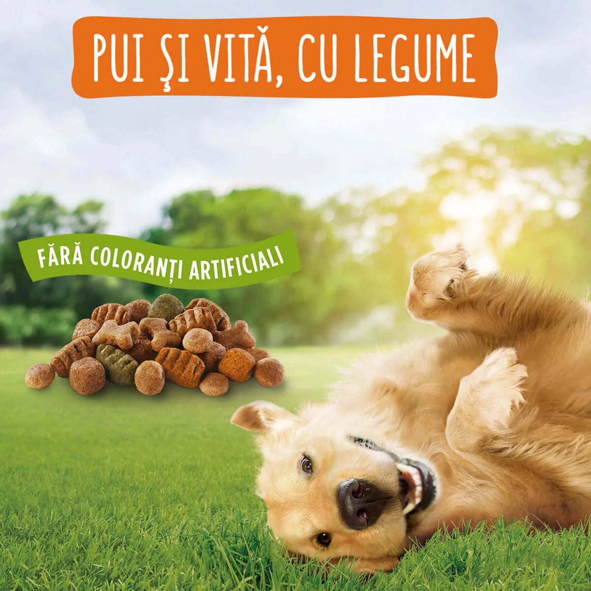 Hrană Uscată Câine Adult, FRISKIES Balance, Pui și Cereale, 10+5kg [4]