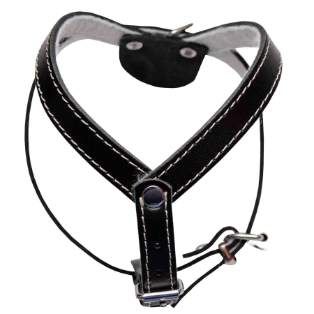 Ham caini nr2 Simplu Negru – DELISTAT [0]