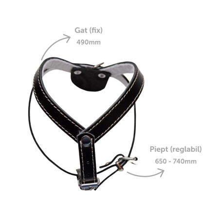 Ham caini nr3 Simplu Negru – DELISTAT [1]