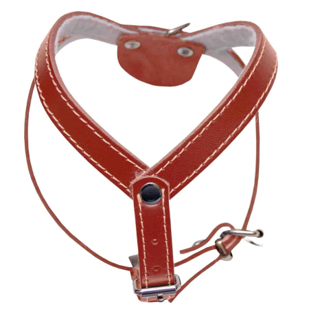 Ham caini nr3 Simplu Rosu – DELISTAT