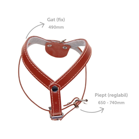 Ham caini nr3 Simplu Rosu – DELISTAT [1]