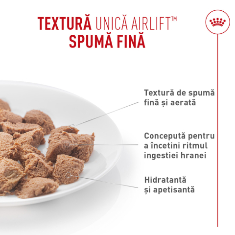 Hrană Umedă Pisică Adult, ROYAL CANIN Digestive Care Airlift, confort digestiv (textură spumoasă), 85g [2]
