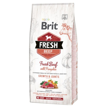 Câine Junior - Hrana Uscata Caini BRIT Fresh Beef and Pumpkin Puppy Large 12kg