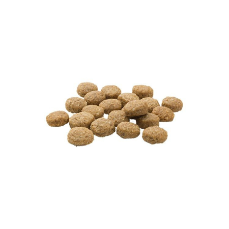 Hrana Uscata Caini MERA Pure Sensitive Junior Curcan si Orez 12,5kg [1]