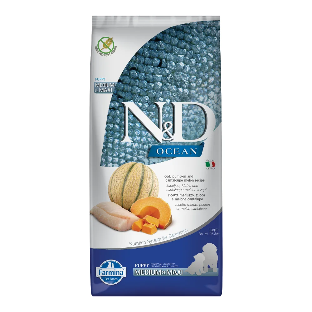N&D Ocean, Hrană Uscată Câine Junior, Talie Medie/Mare, Cod, Dovleac și Pepene Galben, 12kg