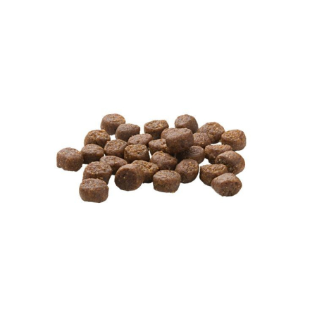 Hrana Uscata Pisici MERA Finest Fit Kitten 10kg – DELISTAT [1]