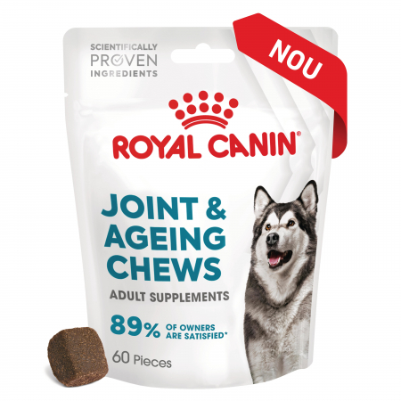 Câini - Suplimente Masticabile, ROYAL CANIN Joint & Ageing Chews Adult Supplements, 240g