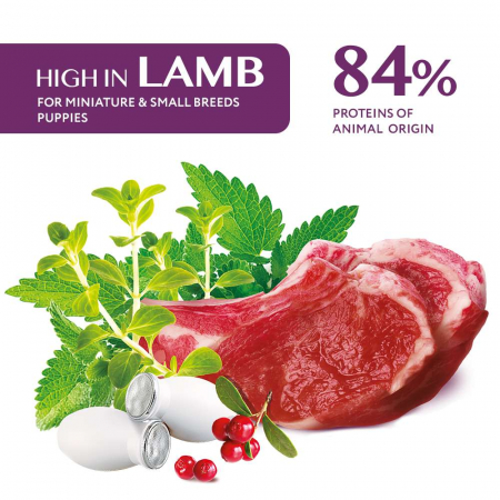 OPTIMEAL Hrana Uscata Caini  Junior Talie Mica Miel 4KG – DELISTAT [1]