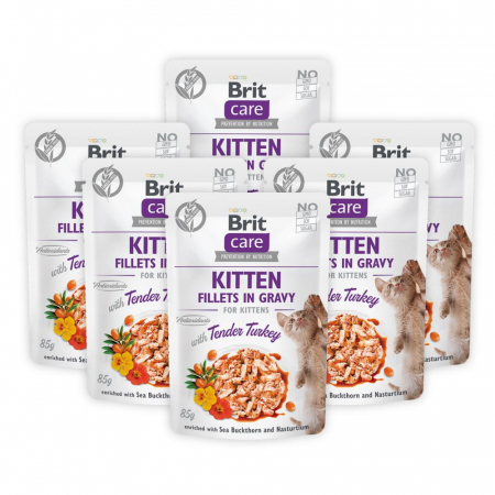 Pisică Junior - Pachet Economic Hrana Umeda Pisici BRIT Care Kitten Curcan in Sos 6x85g