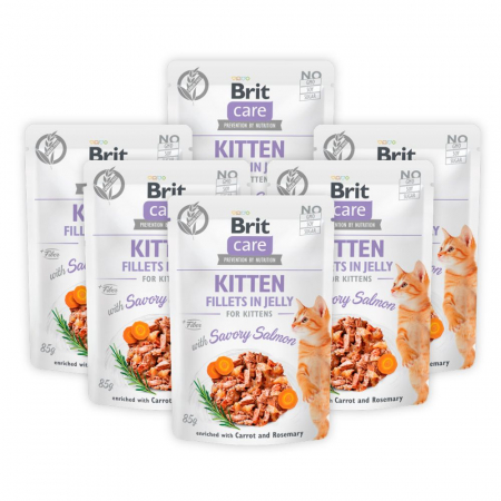 Pisică Junior - Pachet Economic Hrana Umeda Pisici BRIT Care Kitten Somon 6x85g