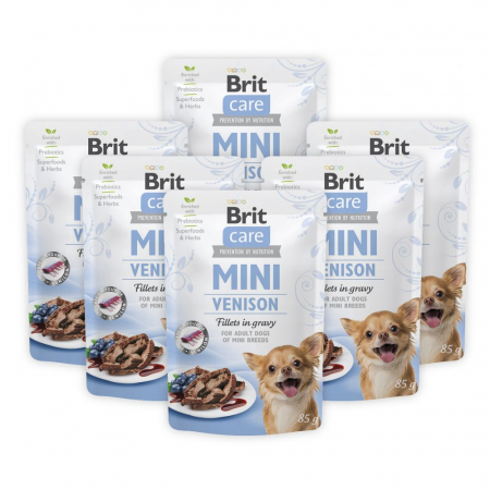 Câini - Pachet Economic Hrana Umeda Caini BRIT Care Mini Vanat in Sos 6x85g