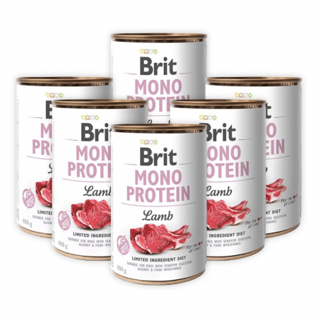 Câini - Pachet Economic Hrana Umeda Caini BRIT Mono Protein Miel 6x400g