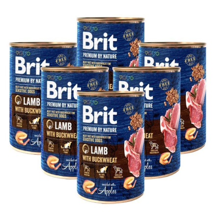Câini - Pachet Economic Hrana Umeda Caini BRIT PREMIUM By Nature Miel si Hrisca 6x400g