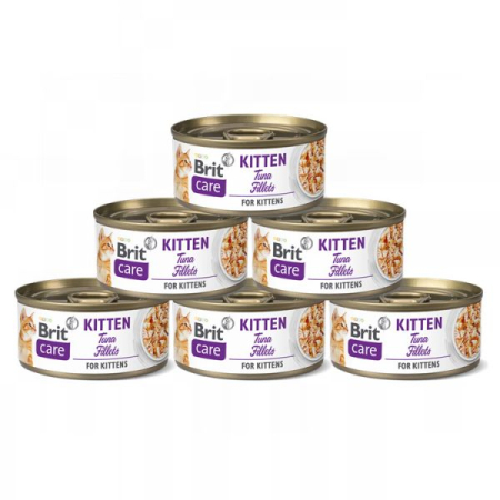 Pisică Junior - Pachet Economic Hrana Umeda Pisici BRIT Care Kitten File Ton 6x70g
