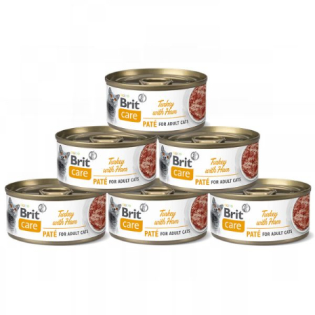 Pisică Adult - Pachet Economic Hrana Umeda Pisici BRIT Care Curcan si Sunca Pate 6x70g