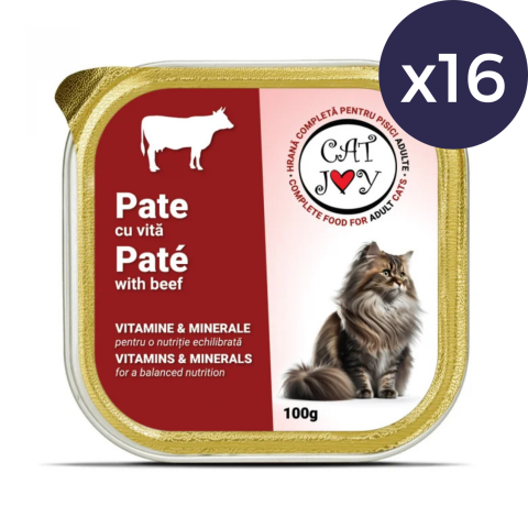 Pisici - Pachet Economic CAT JOY Pate, Hrană Umedă Pisică Adult, Vită, 16x100g
