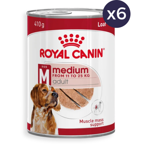 Câine Adult - Pachet Economic Hrană Umedă Câine Adult, ROYAL CANIN Medium Adult, Pate, 6x410g