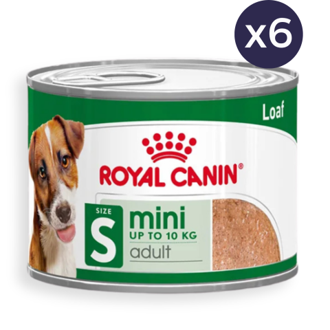 Câine Adult - Pachet Economic Hrană Umedă Câine Adult, ROYAL CANIN Mini Adult, Pate, 6x195g
