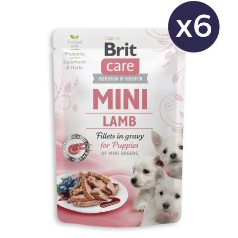 Câine Junior - Pachet Economic Hrana Umeda Caini BRIT Care Mini Puppy Miel in Sos 6x85g