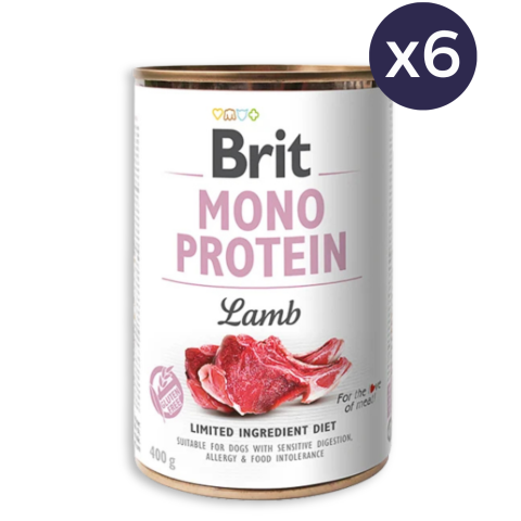 Pachet Economic Hrana Umeda Caini BRIT Mono Protein Miel 6x400g