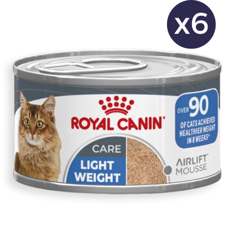 Pisică Adult - Pachet Economic Hrană Umedă Pisică Adult, ROYAL CANIN Light Weight Care Airlift, limitarea creșterii în greutate (textură spumoasă), 6x85g
