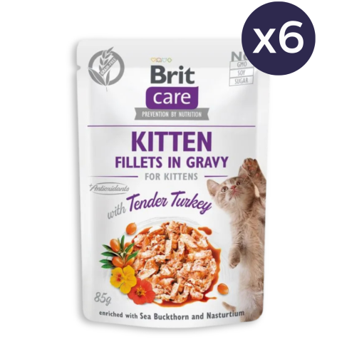 Pachet Economic Hrana Umeda Pisici BRIT Care Kitten Curcan in Sos 6x85g