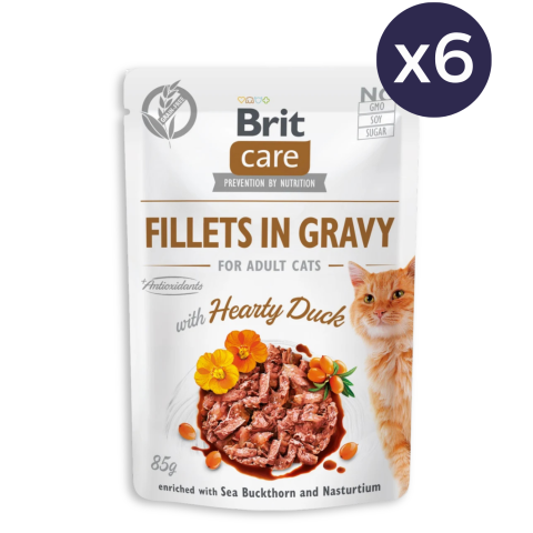Pisică Adult - Pachet Economic Hrana Umeda Pisici BRIT Care Rata in Sos 6x85g
