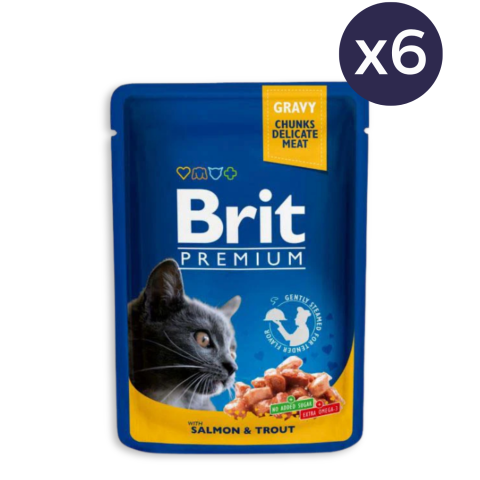 Pisici - Pachet Economic Hrana Umeda Pisici BRIT PREMIUM By Nature Somon si Pastrav 6x100g