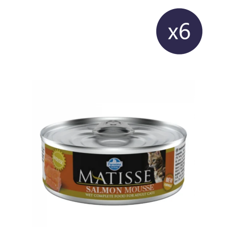 Pisici - Pachet Economic Hrana Umeda Pisici MATISSE Mousse Somon 6x85g