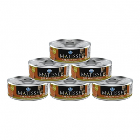 Pachet Economic Hrana Umeda Pisici MATISSE Mousse Somon 6x85g