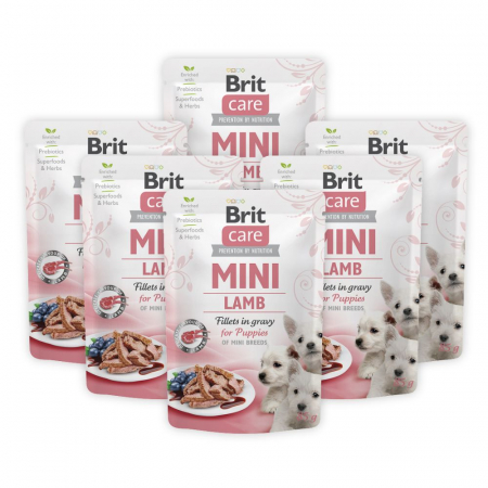 Câini - Pachet Economic Hrana Umeda Caini BRIT Care Mini Puppy Miel in Sos 6x85g