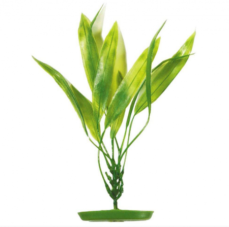 Pești - MARINA Plantă pentru Acvariu, Amazon Sword, Plastic, 30 cm