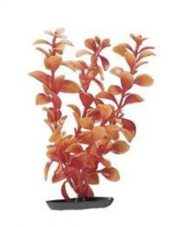 Pești - MARINA Plantă pentru Acvariu, Ludwigia Red, Plastic, 30 cm