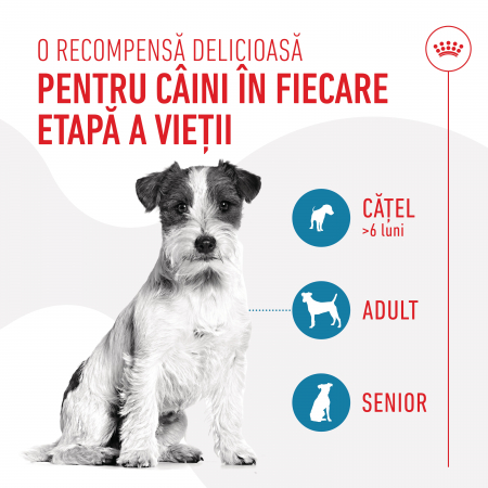 Recompense Nutriționale pentru Dresaj, ROYAL CANIN Training Treats, 8x110g [3]