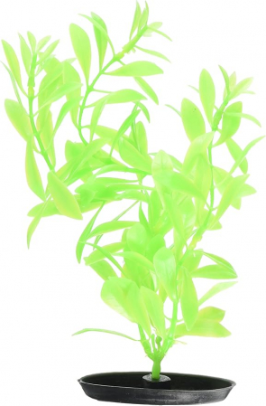 Pești - MARINA Plantă pentru Acvariu, Hygrophila, Plastic, 20 cm