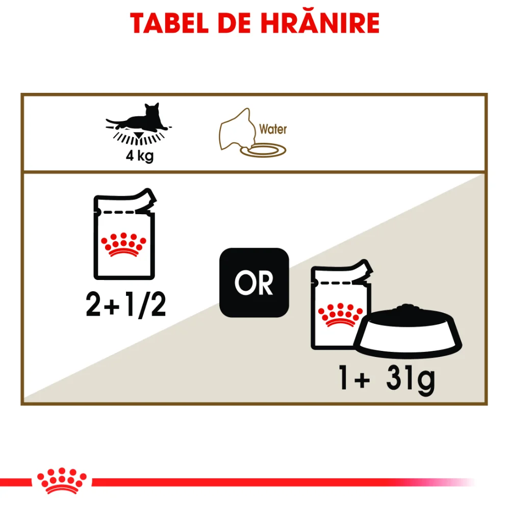 ROYAL CANIN Ageing 12+, hrană umedă pisică senior (in sos), 12x85g [7]