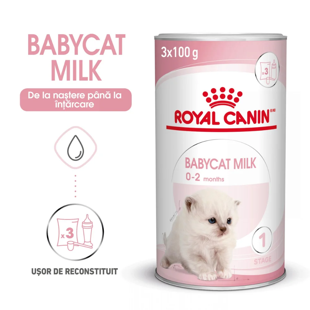 Pisică Junior - ROYAL CANIN BabyCat Milk, înlocuitor lapte matern pisică, 300g