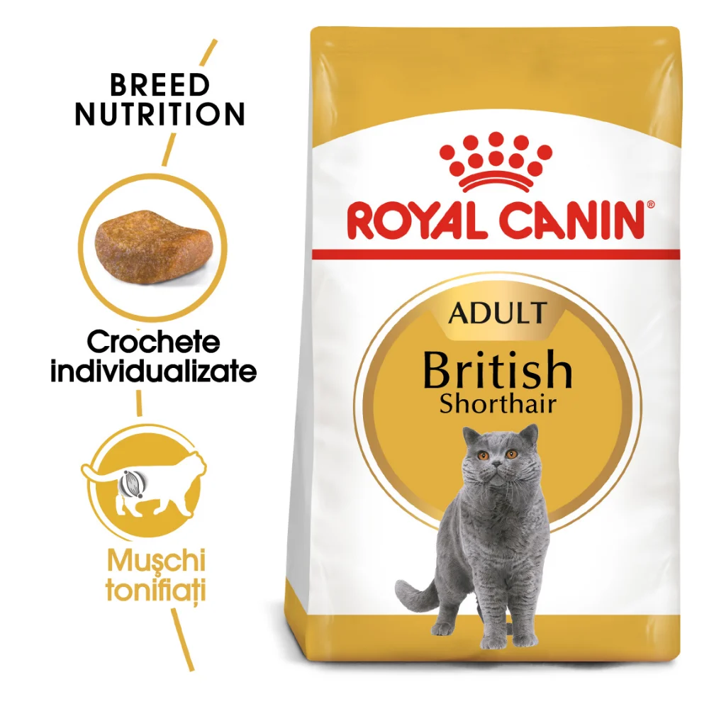 Pisică Adult - ROYAL CANIN British Shorthair Adult, hrană uscată pisică, 10kg