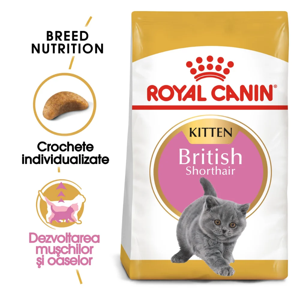 ROYAL CANIN British Shorthair Kitten, hrană uscată pisică junior, 2kg