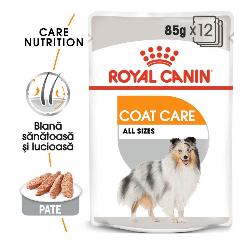 Câini - ROYAL CANIN Coat Care Adult, hrană umedă câine, blană sănătoasă și lucioasă (pate), 12x85g