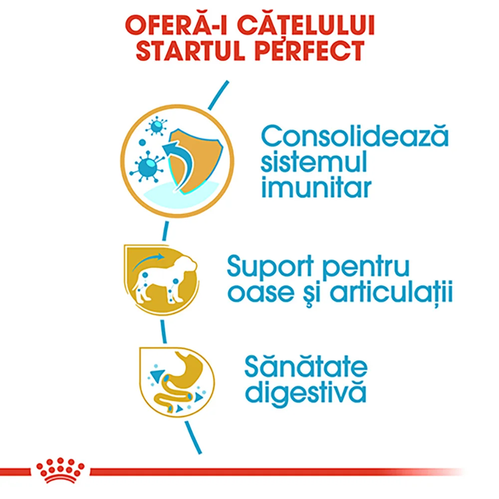 ROYAL CANIN Dachshund Puppy, hrană uscată câine junior Teckel, 1,5kg [3]