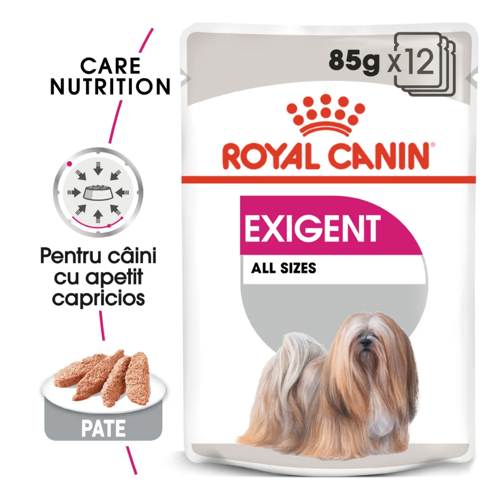Câini - ROYAL CANIN Exigent Adult, hrană umedă câine, apetit capricios (pate), 12x85g