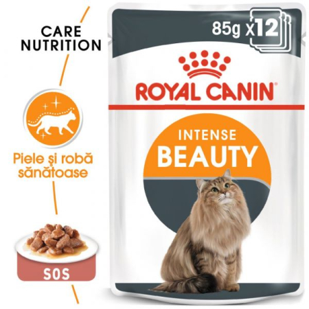 ROYAL CANIN Intense Beauty Care in Gravy 12x85g – DELISTAT