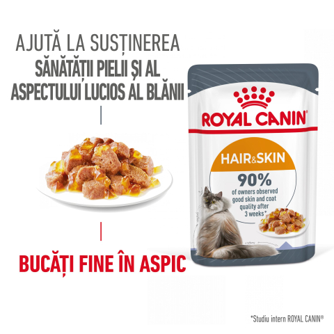 ROYAL CANIN Hair&Skin Care Adult hrana umeda pisica, piele si blana (in aspic), 12x85g [1]