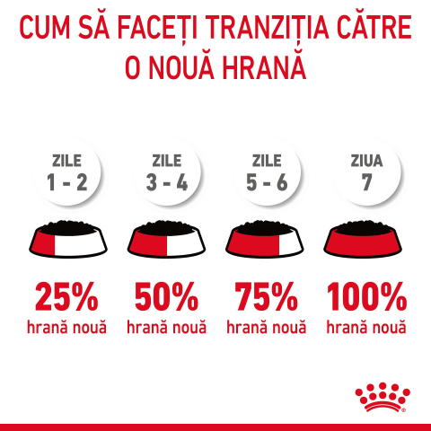 ROYAL CANIN Hair&Skin Care Adult hrana umeda pisica, piele si blana (in aspic), 12x85g [6]