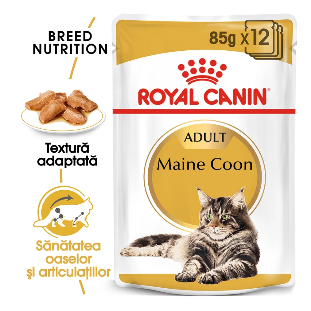 ROYAL CANIN Maine Coon Adult, hrană umedă pisică (în sos), 12x85g