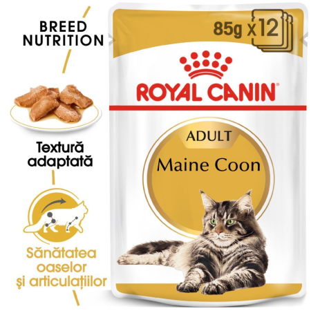Pisica Adult - ROYAL CANIN Maine Coon 12x85g