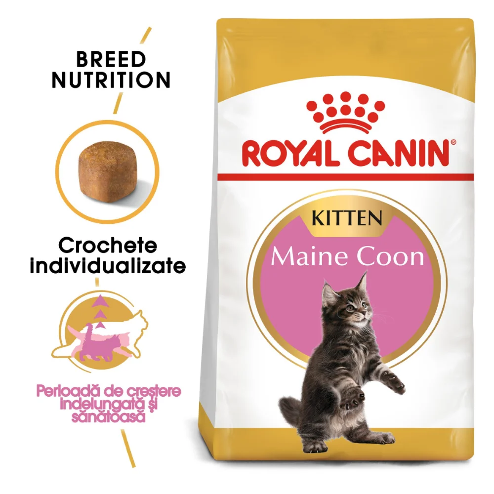 Pisici - ROYAL CANIN Maine Coon Kitten, hrană uscată pisică junior, 2kg
