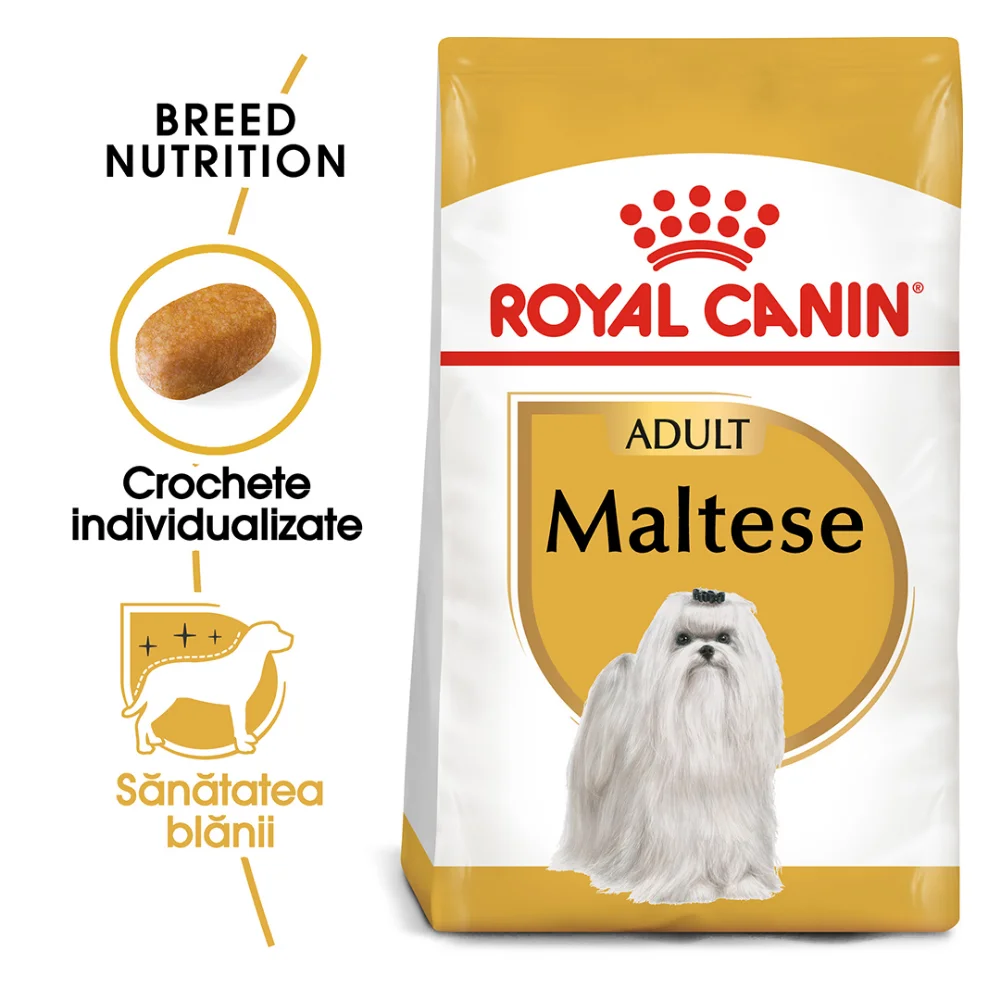 Câini - ROYAL CANIN Maltese Adult, hrană uscată câine, 500g